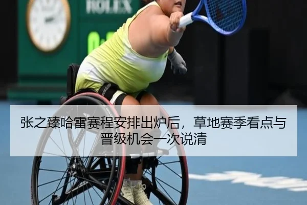 张之臻哈雷赛程安排出炉后，草地赛季看点与晋级机会一次说清